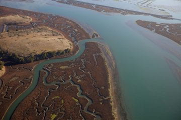 UCSC leads large collaborative effort to help coastal wetlands mitigate climate change